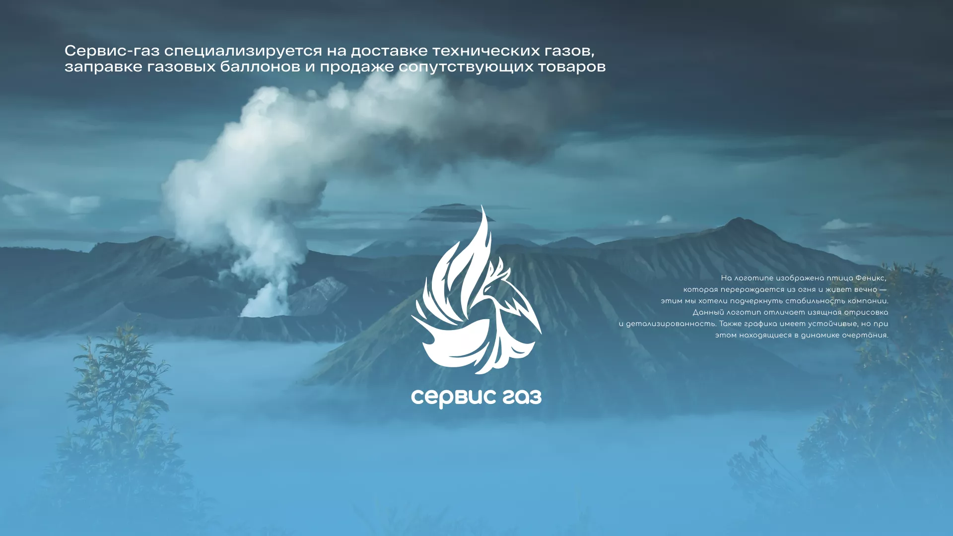 Создание сайта компании «Сервис газ» в Волгодонске