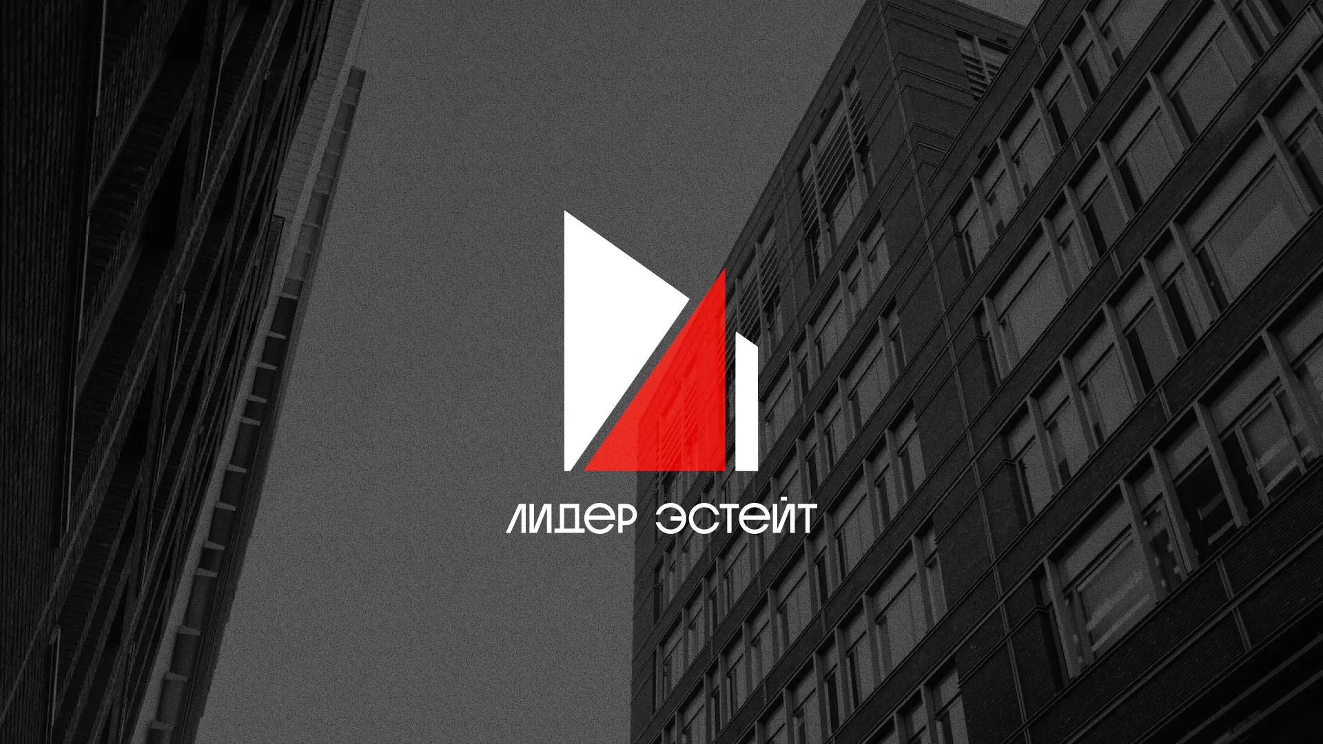 Сделали логотип для агентства недвижимости «Лидер Эстейт» в Волгодонске